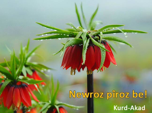 Newroz 2019