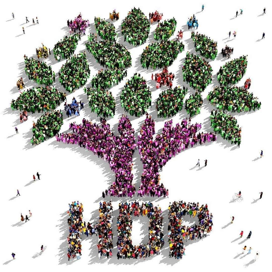 Solidarity with the HDP