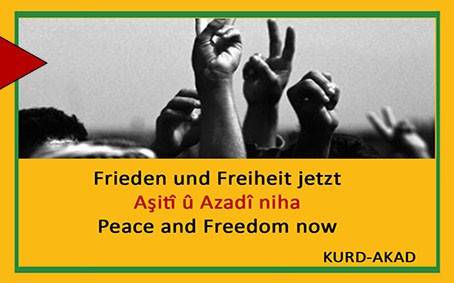 Peace and Freedom now